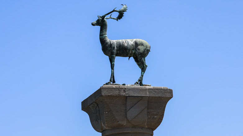 Κομπίνα με επενδύσεις σε κρυπτονομίσματα