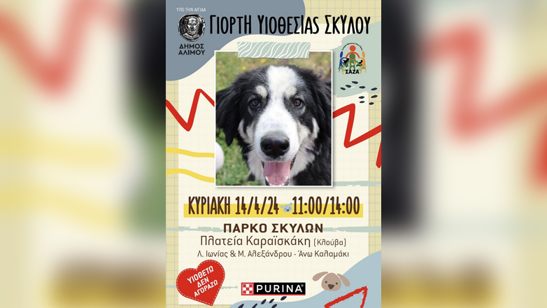 Δώστε αγάπη στα αδέσποτα ζώα