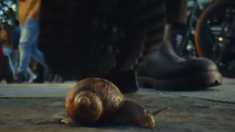 Βρετανία: Εξαγριωμένοι οι κτηνοτρόφοι με διαφήμιση οργάνωσης για την προστασία των ζώων