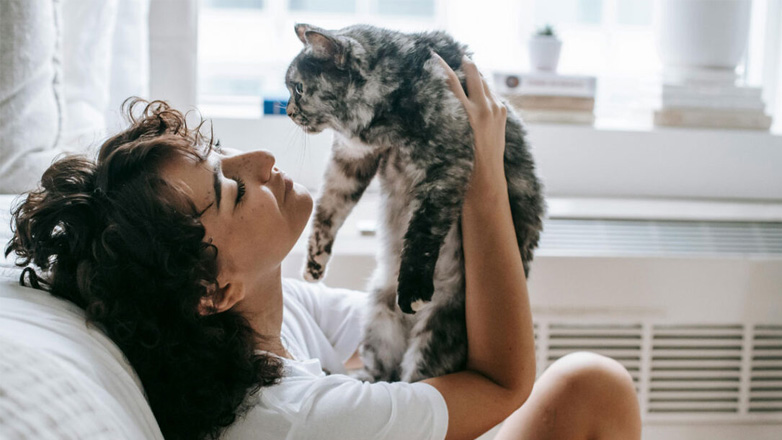 Κατοικίδια σε πολυκατοικία: Πλήρης οδηγός και νομοθεσία