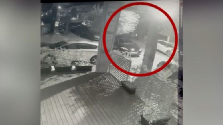 Νέα Ιωνία: Η στιγμή που ηλικιωμένη πετάει στα σκουπίδια νεογέννητα κουτάβια