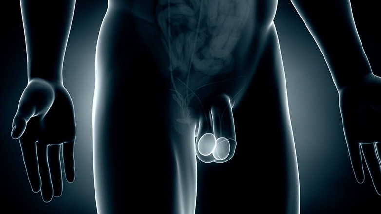 Πώς μπορεί ο καρκίνος των όρχεων να επηρεάσει τη σεξουαλική λειτουργία ενός ατόμου;