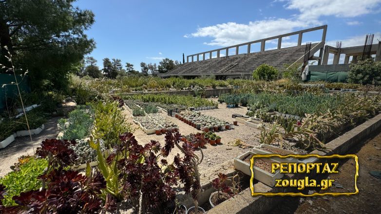 Ελευσίνα: Αυτοψία – κόλαφος του Υγειονομικού για το δημοτικό κολυμβητήριο