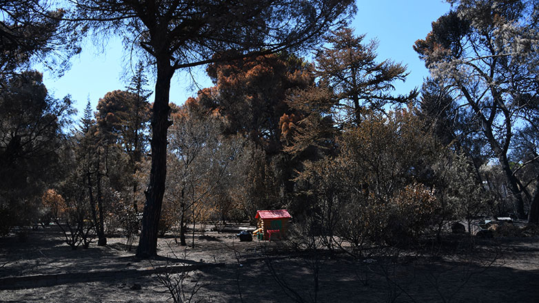 Μάτι: Ποινή φυλάκισης 2 ετών με αναστολή στον πρώην διοικητή του Ενιαίου Συντονιστικού Κέντρου Επιχειρήσεων