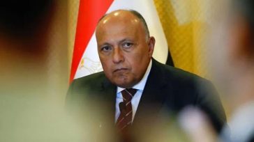 Συνάντηση του ΥΠΕΞ της Αιγύπτου Σάμεχ Σούκρι με τον Ταγίπ Ερντογάν