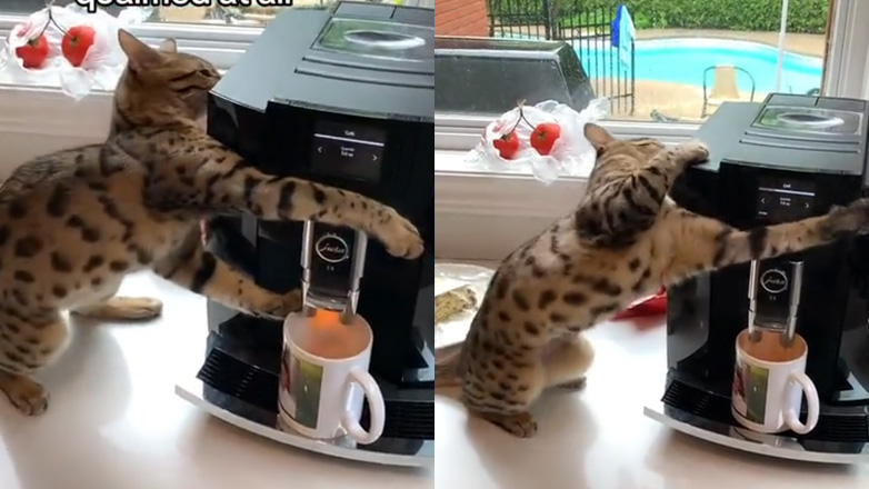 Έτοιμος ο καφές σας 