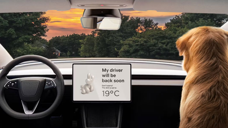 Τι είναι το Dog Mode της Tesla; Πόση αυτονομία καταναλώνει ανά μία ώρα και πώς ελέγχεται;