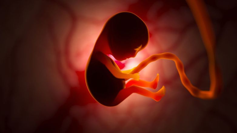 Η κατανάλωση αλκοόλ από τον πατέρα πριν από τη σύλληψη μπορεί να έχει αρνητική επίδραση στην ανάπτυξη του εμβρύου