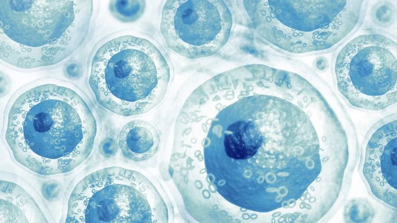 Θα γίνει η θεραπεία με βλαστοκύτταρα μια θεραπευτική επιλογή για τη στυτική δυσλειτουργία;