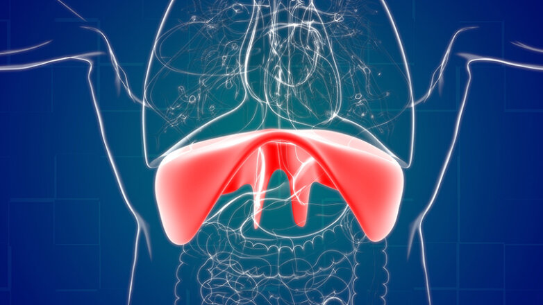 Διαφραγματοκήλη: Συχνές ερωτήσεις