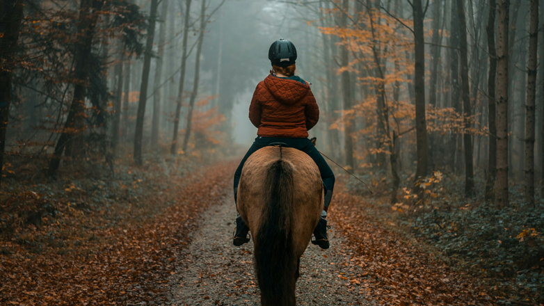 Ημαθία: Μαθήτριες έπεσαν θύματα σεξουαλικής επίθεσης από ιδιοκτήτη στάβλου