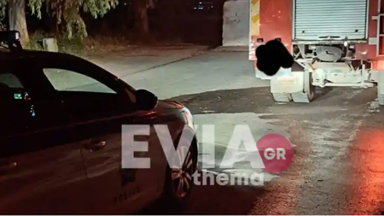 Κτηνωδία στη Χαλκίδα: Πέταξαν σκύλο σε κάδο σκουπιδιών και τον έκαψαν