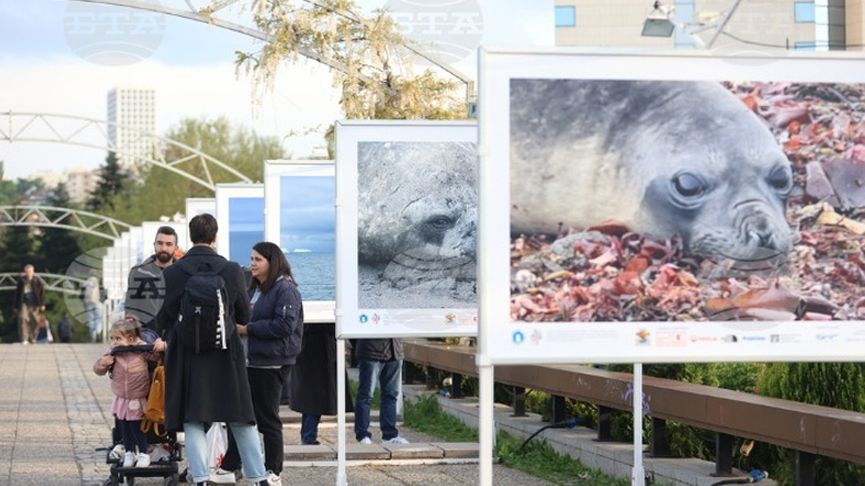 Βουλγαρία: Διαδραστική έκθεση δείχνει την ανέγγιχτη φύση και τη συγκλονιστική θέα της Ανταρκτικής Βουλγαρία: Διαδραστική έκθεση δείχνει την ανέγγιχτη φύση και τη συγκλονιστική θέα της Ανταρκτικής
