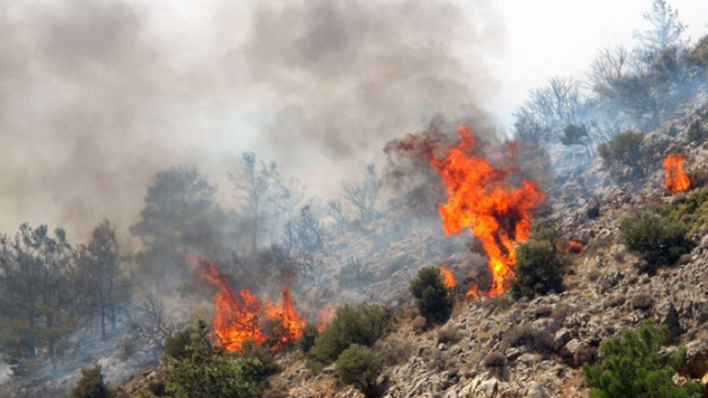 Υπό έλεγχο οι πυρκαγιές σε αγροτοδασικές εκτάσεις σε Φθιώτιδα και Βοιωτία