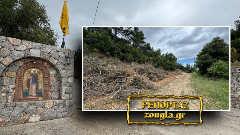 Οινόη: «Βραδυφλεγείς βόμβες» τα παρατημένα πεύκα και κλαδιά στην είσοδο του Οσίου Μελετίου