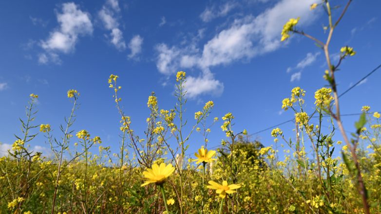 Άστατος ο καιρός σήμερα και αύριο – Η πρόβλεψη για την Κυριακή του Πάσχα