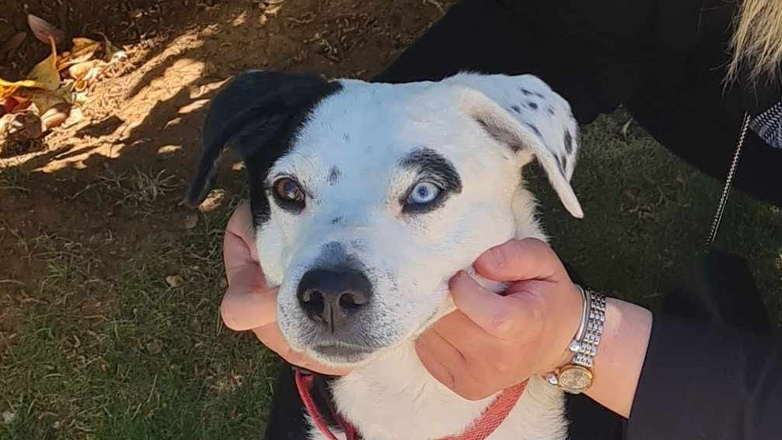 Χάθηκε το Μεγάλο Σάββατο στην Ιπποκράτειο Πολιτεία