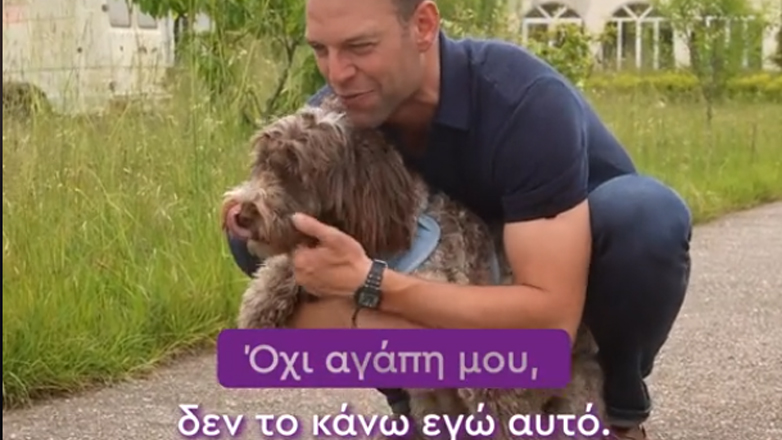 Η Φάρλι του Κασσελάκη απέναντι στον Πίνατ του Μητσοτάκη Η Φάρλι του Κασσελάκη απέναντι στον Πίνατ του Μητσοτάκη