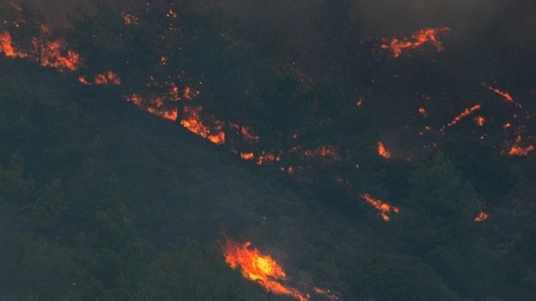 Πυρκαγιά σε δασική έκταση στη Ρόδο