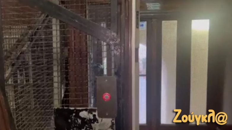 Ασανσέρ αντίκα που πρέπει να… το πληρώσεις