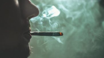 Τι είναι το ναρκωτικό Σάλβια που πήρε ο 14χρονος και κατέρρευσε στην Λαμία