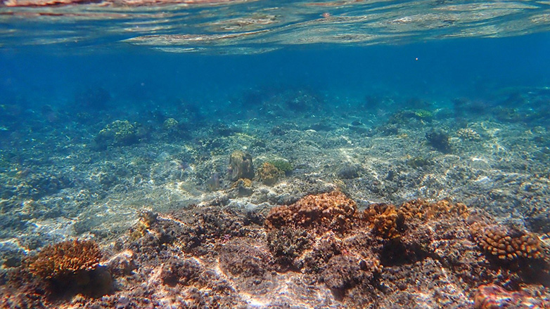 Κλιματική αλλαγή: Οι ωκεανοί κατέγραψαν μια χρονιά με ρεκόρ θέρμανσης