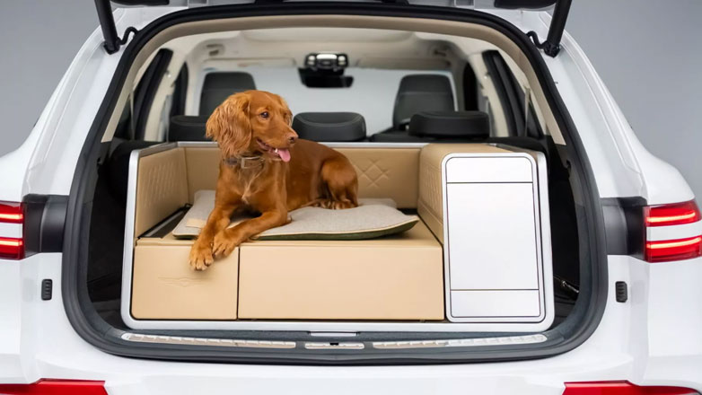 Το αυτοκίνητο που προσφέρει την καλύτερη θέση για τους τετράποδους επιβάτες (Βίντεο) Το αυτοκίνητο που προσφέρει την καλύτερη θέση για τους τετράποδους επιβάτες (Βίντεο)