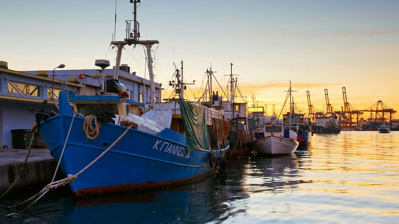 Κερατσίνι: Μυστήριο με σορό 34χρονου άνδρα στην ιχθυόσκαλα – Προανάκριση διενεργεί το Λιμενικό