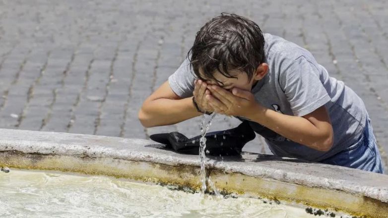 Αρχαία δέντρα αποκαλύπτουν ότι το περασμένο καλοκαίρι ήταν το πιο ζεστό των τελευταίων 2000 ετών