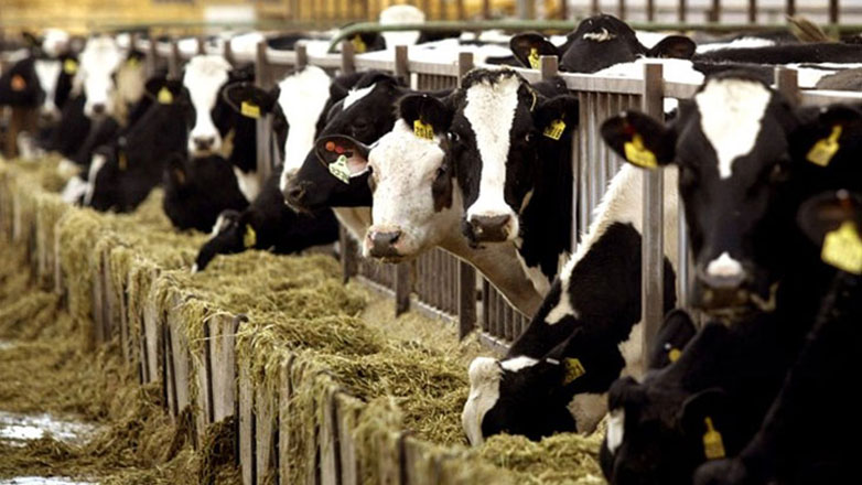 Επιδοτήσεις: Δεν έχει τέλος το «πάρτι» – «Τρέχει και δεν φθάνει» το υπουργείο