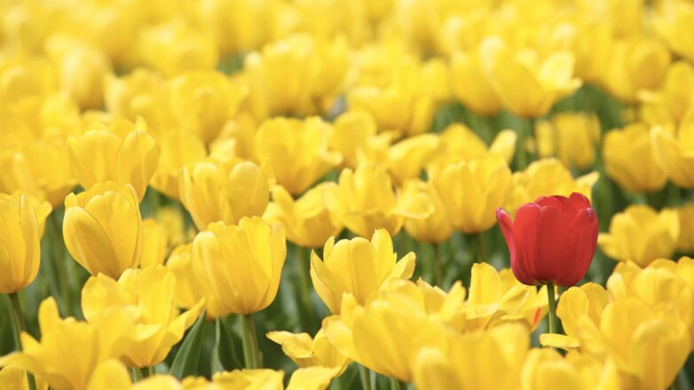 Έρευνα για τις σπάνιες παθήσεις – Το 70% θα ήθελε να έχει διαγνωστεί κατά τη γέννηση