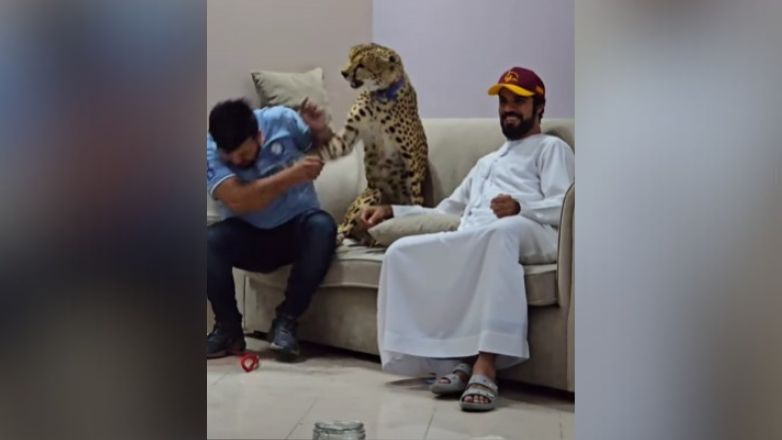 Δεν… παίζουν με τα άγρια ζώα – Δείτε τι έπαθε όταν πήγε να χαϊδέψει κατοικίδιο τσιτάχ