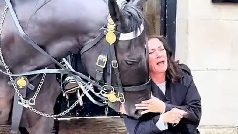 Την… δάγκωσε το άλογο της βασιλικής φρουράς