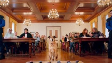 Γαλλία: Palm Dog για τον Κοντί, τον τετράποδο πρωταγωνιστή της ταινίας «Le procès du chien»