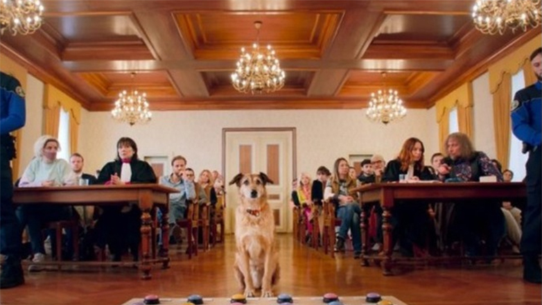 Γαλλία: Palm Dog για τον Κοντί, τον τετράποδο πρωταγωνιστή της ταινίας «Le procès du chien»