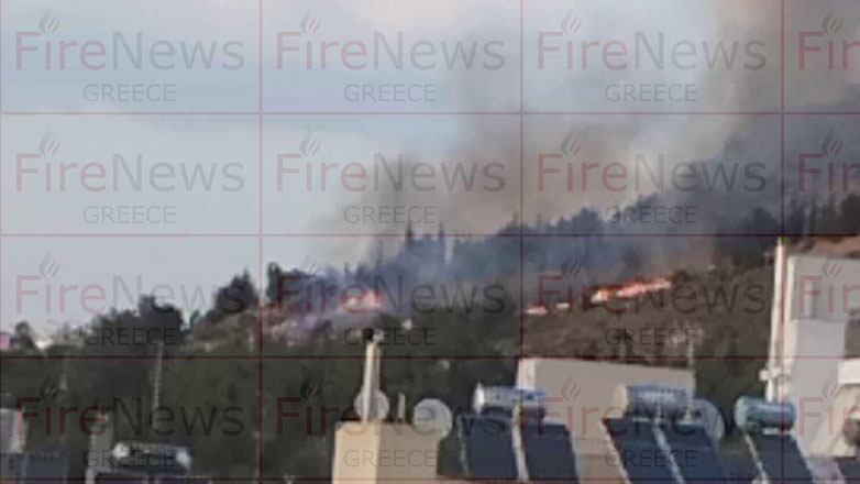 Οριοθετήθηκε η πυρκαγιά στο Άλσος Βεΐκου