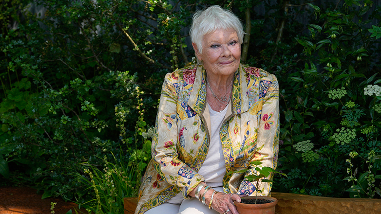 Τζούντι Ντεντς: Φαίνεται ότι αποχωρεί από τον κινηματογράφο λόγω προβλημάτων υγείας – «Έχω χάσει την όρασή μου»