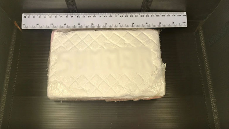 Κατασχέθηκαν 100 κιλά κοκαΐνης σε κοντέινερ με… καλαμαράκια στον Πειραιά