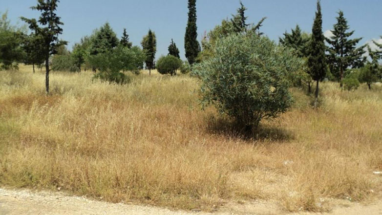 Διπλή παράταση ως 21/06 για τα ακίνητα σε δάση και ως 30/06 για τα ακαθάριστα οικόπεδα