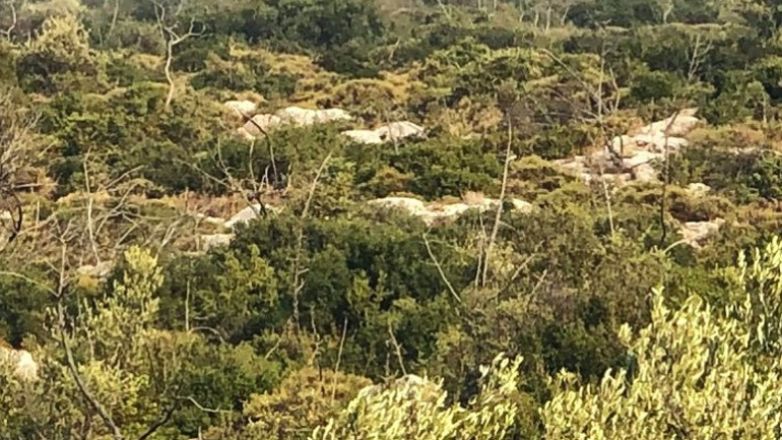 Ακαθάριστα οικόπεδα: Αναρτήθηκε η ψηφιακή πλατφόρμα για τις δηλώσεις