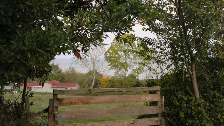 Ακαθάριστα οικόπεδα: Τα αποψιλώνουν και πετούν τα ξερά χόρτα κοντά στη θάλασσα