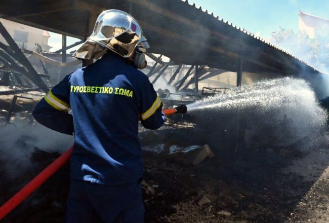 Σε εξέλιξη φωτιά στη Χαλκιδική – Απειλείται φωτοβολταϊκό πάρκο Σε εξέλιξη φωτιά στη Χαλκιδική – Απειλείται φωτοβολταϊκό πάρκο