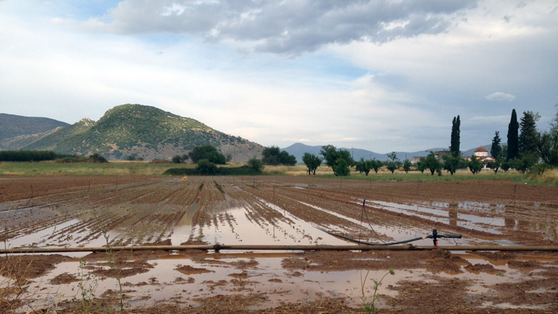 «Κλείδωσαν» τα μέτρα στήριξης των αγροτών για έκτακτα καιρικά φαινόμενα