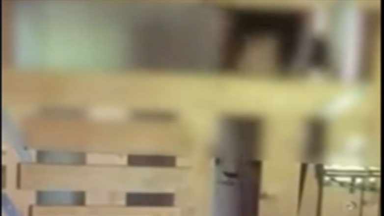 Καλαμάτα: Νέα υπόθεση που θυμίζει «Κωσταλέξι» – 29χρονη ζει σε κλουβί εδώ και 7 χρόνια