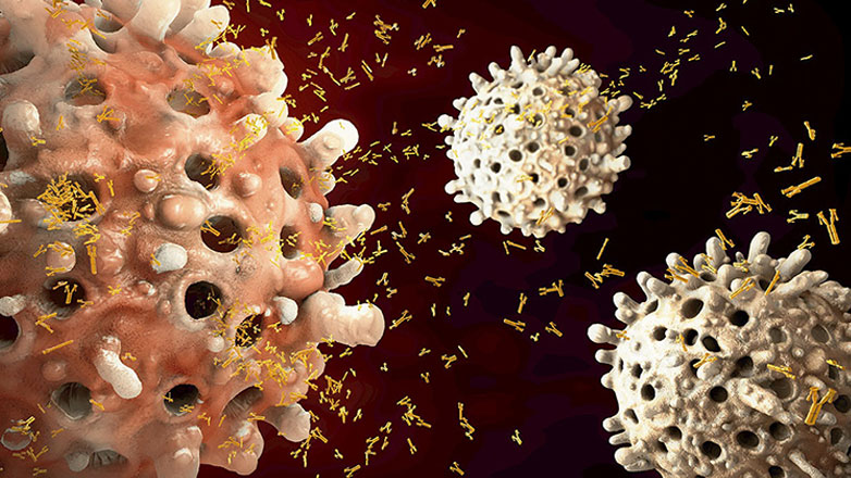 Συνδυασμοί που περιλαμβάνουν το Belantamab Mafodotin αποτελούν καινοτόμες θεραπευτικές επιλογές για το πολλαπλoύν μυέλωμα