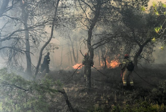 Φωτιά στη Χίο: Μεγάλη κινητοποίηση της Πυροσβεστικής