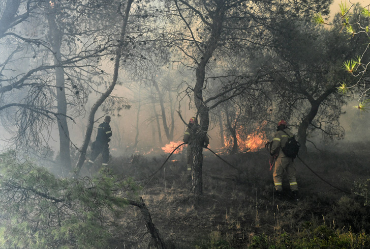 Φωτιά στη Χίο: Μεγάλη κινητοποίηση της Πυροσβεστικής