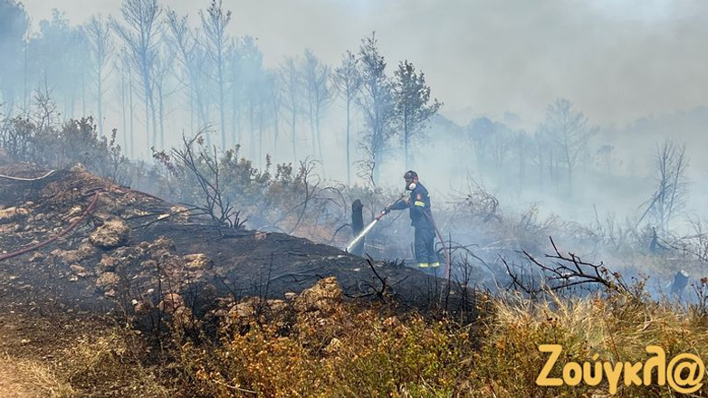 Υπό μερικό έλεγχο η πυρκαγιά σε δασική έκταση στον Ωρωπό