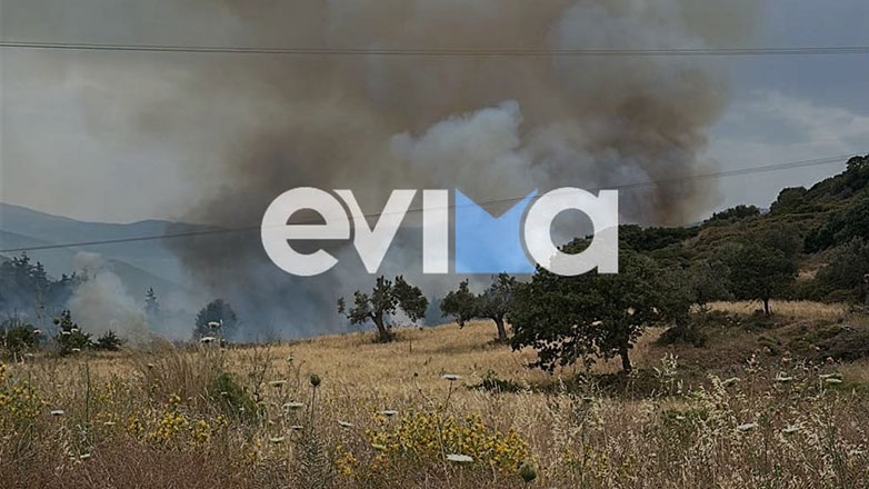 Πυρκαγιά στον Αλμυροπόταμο Ευβοίας – Mήνυμα του 112 στους κατοίκους