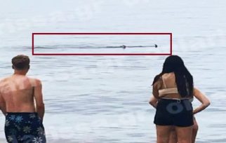 Τρόμος σε Αγιόκαμπο Λάρισας – Καρχαρίας βγήκε στα «ρηχά»